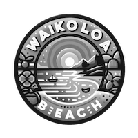 Waikoloa Beach Webcams